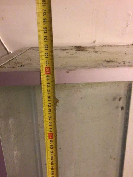 Terraario/akvaario Savonlinna - valokuva 3