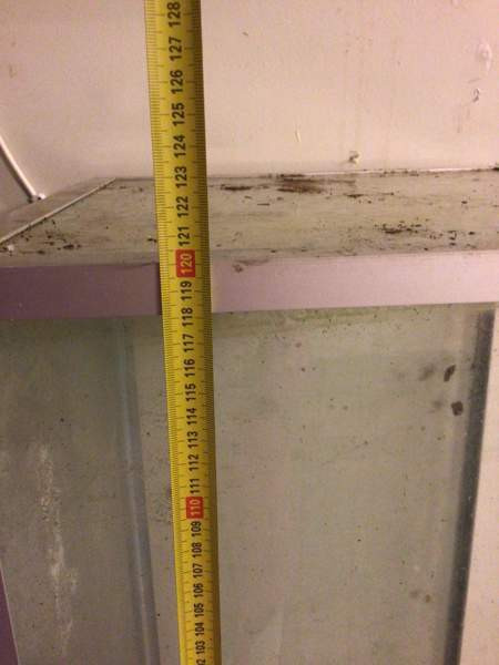 Terraario/akvaario Savonlinna - valokuva 4