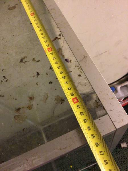 Terraario/akvaario Savonlinna - valokuva 6