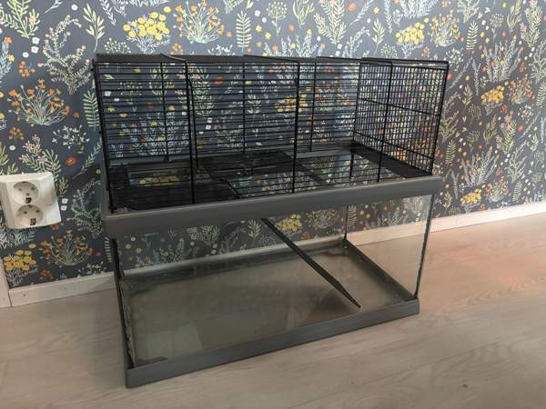 Terraario/häkki Kolari - photo 1