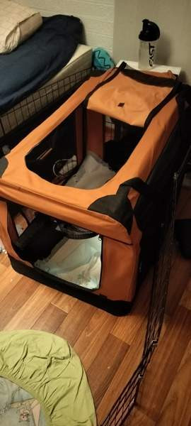 Lemmikin kevythäkki Sauvo - photo 3