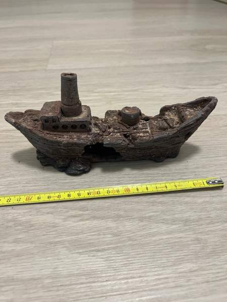 Akvaariokoriste Pirkkala – foto 1