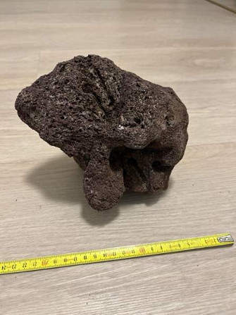 Akvaariokoriste Pirkkala - photo 1