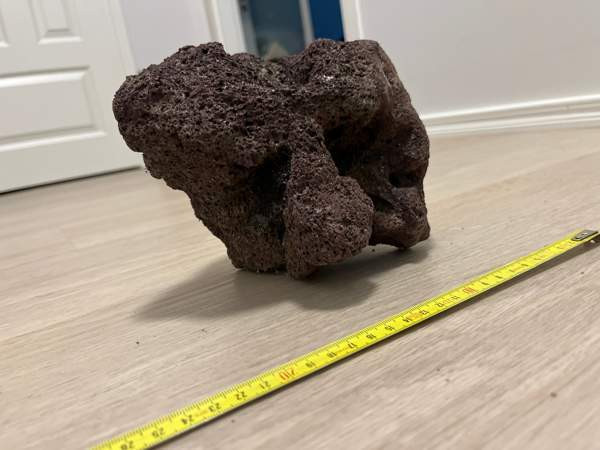 Akvaariokoriste Pirkkala – foto 2