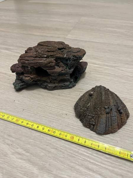 Akvaariokoriste Pirkkala – foto 1