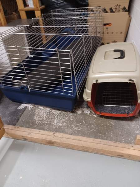 Jyrsijähäkki 100x45cm Helsinki - photo 1