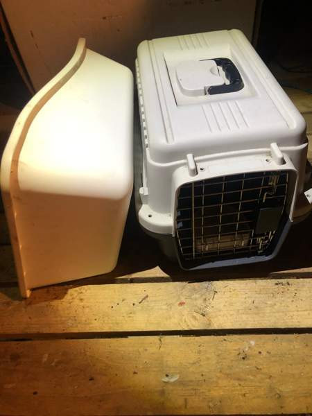 Kissan vessa ja kuljetuslaatikko Йоэнсуу - изображение 1