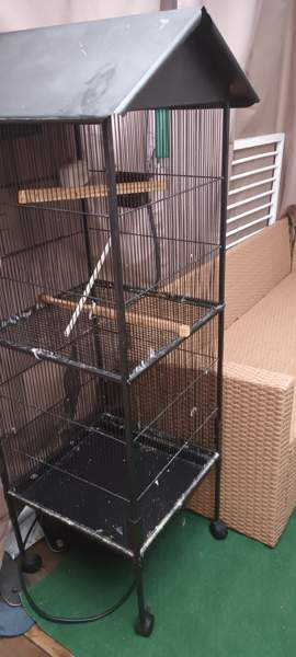 Häkki Lieto - изображение 1