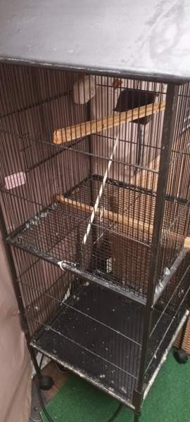 Häkki Lieto - изображение 2