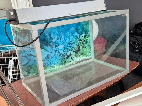 Akvaario Тампере - изображение 1