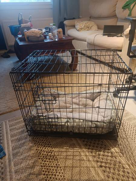 Kevytrakenteinen eläinhäkki esim koiralle ja pehmuste (61cmx43cmx51cm) Espoo - valokuva 1