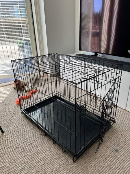 Brava metallihäkki L koko Kangasala - valokuva 1