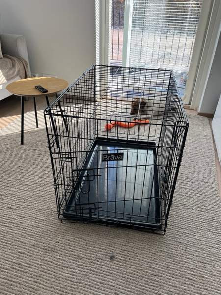 Brava metallihäkki L koko Kangasala - valokuva 2