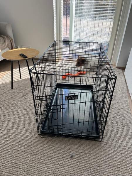 Brava metallihäkki L koko Kangasala - valokuva 3