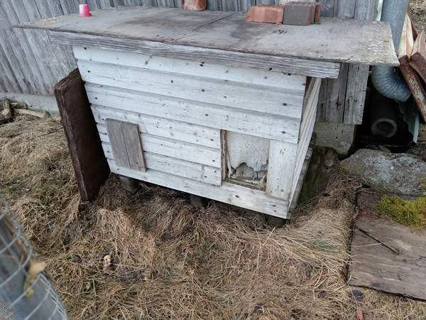 Kanille ulkohäkki Alavus – foto 2