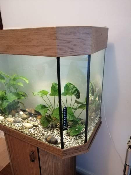 akvaario telineellä Helsinki – foto 2