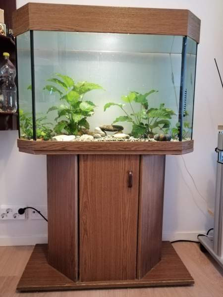 akvaario telineellä Helsinki – foto 1