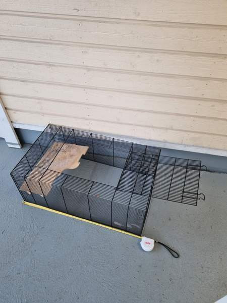 Häkki luukulla Lahti - photo 1