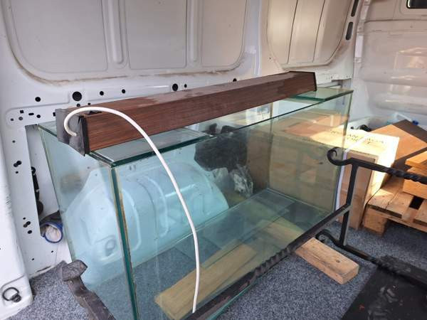 Isohko akvaario / terraario. Helsinki - изображение 1