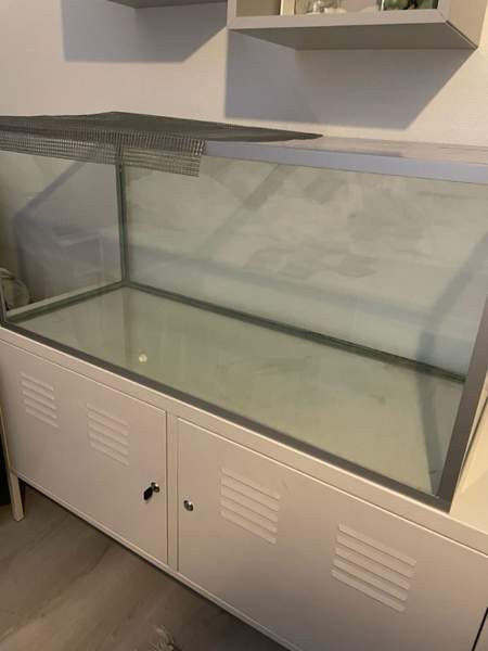 Hamsterin terraario Yloejaervi – foto 2