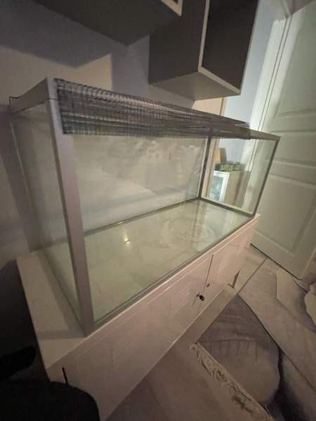 Hamsterin terraario Yloejaervi – foto 3