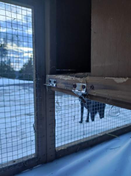 Pieneläinhäkki Kuopio - photo 5