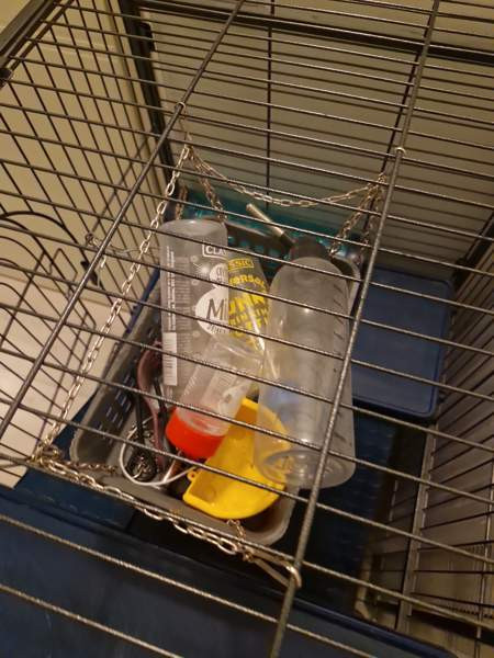 Jyrsijä häkki ja tarvikkeet Kerava – foto 4