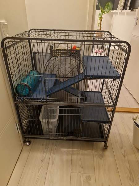 Jyrsijä häkki ja tarvikkeet Kerava – foto 2