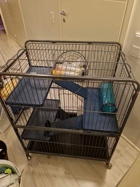 Jyrsijä häkki ja tarvikkeet Kerava – foto 5