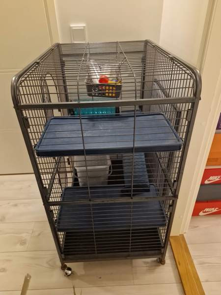 Jyrsijä häkki ja tarvikkeet Kerava – foto 3