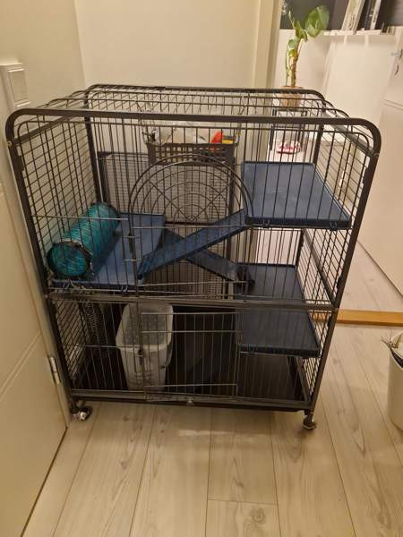 Jyrsijä häkki ja tarvikkeet Kerava – foto 1