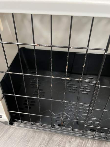 Koirahäkki, kuljetushäkki Tampere – foto 5