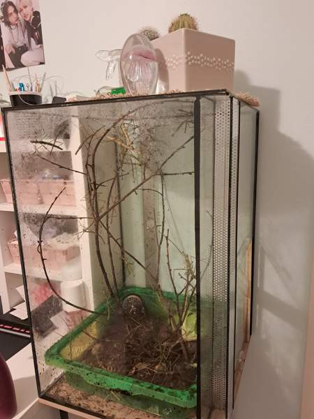 Annetaan sauvasirkat ja akvaario. Loppi - photo 1