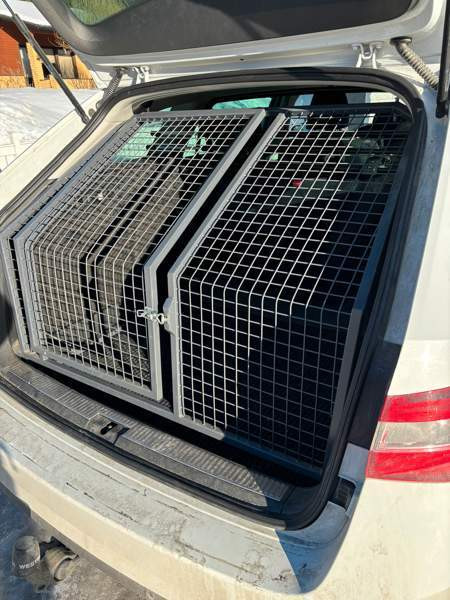 Koiraveräjä Skoda SuperB Рованиеми - изображение 2