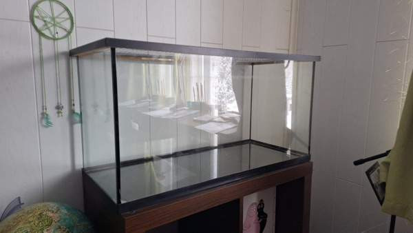 Terraario Вихти - изображение 1