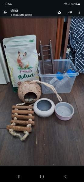 Terraario Вихти - изображение 2