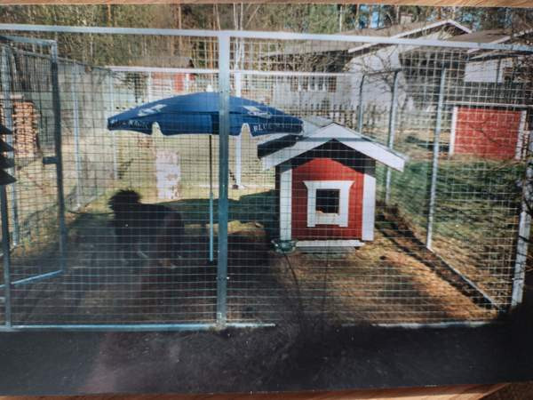 Jepo koiratarha Ruokolahti – foto 1