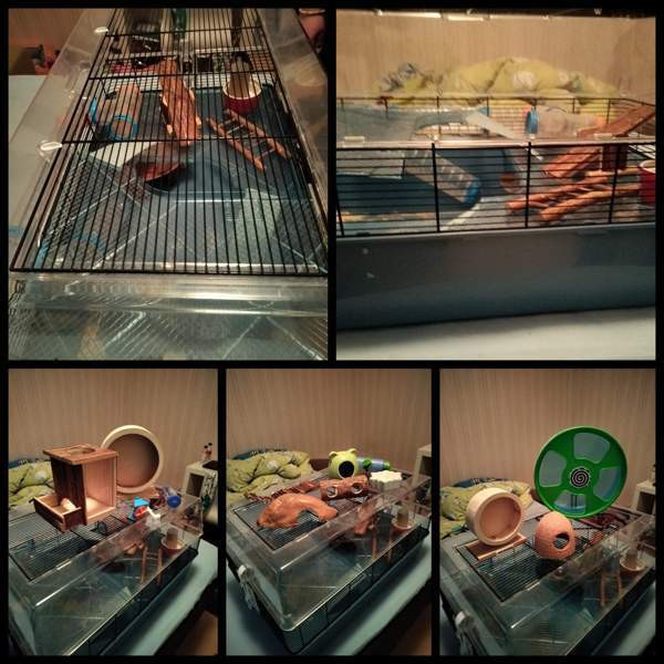 Duna Пори - изображение 1