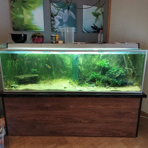 600l akvaario Karkkila - valokuva 1