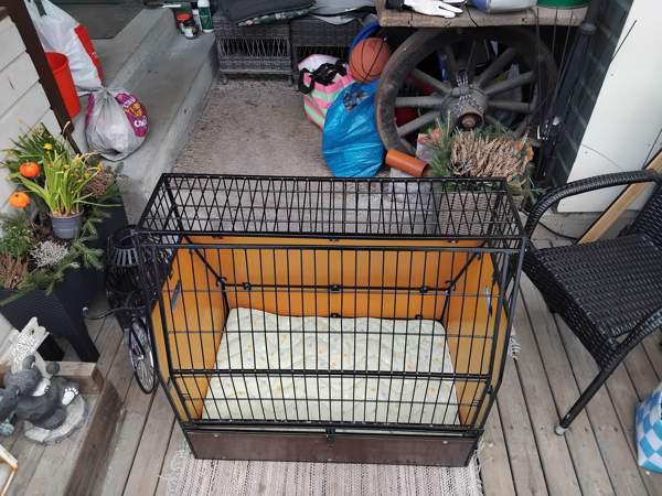 Koiran häkki iso Valkeakoski - valokuva 3