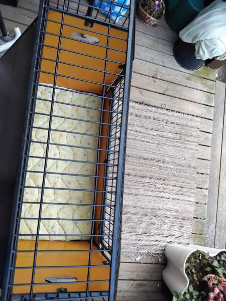 Koiran häkki iso Valkeakoski - valokuva 2