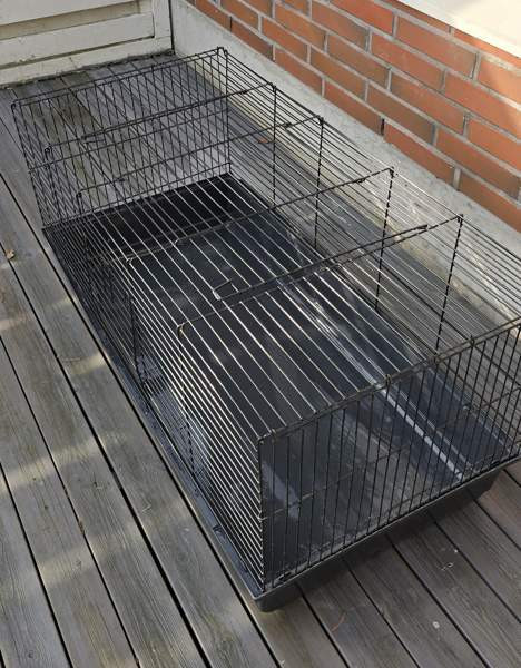 Kanin/marsun häkki Kouvola – foto 1