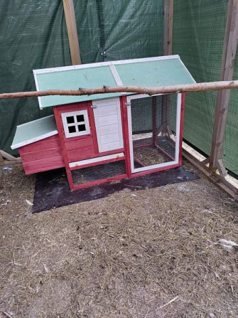 Myydään kolli-kissa tarha moneen käyttöön Kouvola - valokuva 4