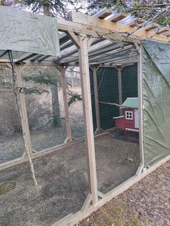Myydään kolli-kissa tarha moneen käyttöön Kouvola - valokuva 5