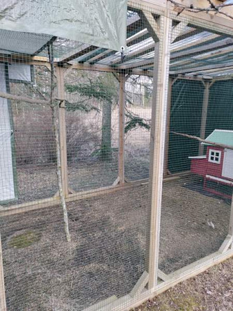 Myydään kolli-kissa tarha moneen käyttöön Kouvola - valokuva 1