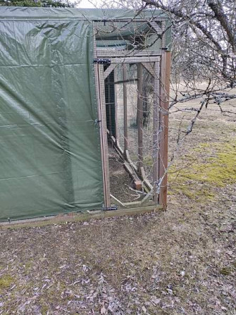 Myydään kolli-kissa tarha moneen käyttöön Kouvola - valokuva 6