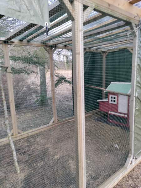 Myydään kolli-kissa tarha moneen käyttöön Kouvola – foto 2