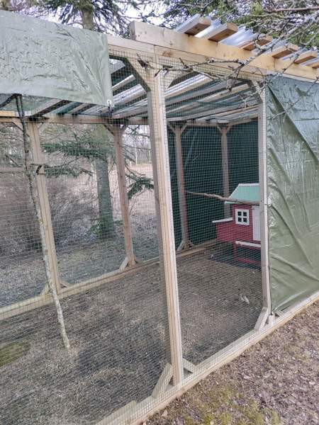 Myydään kolli-kissa tarha moneen käyttöön Kouvola – foto 5