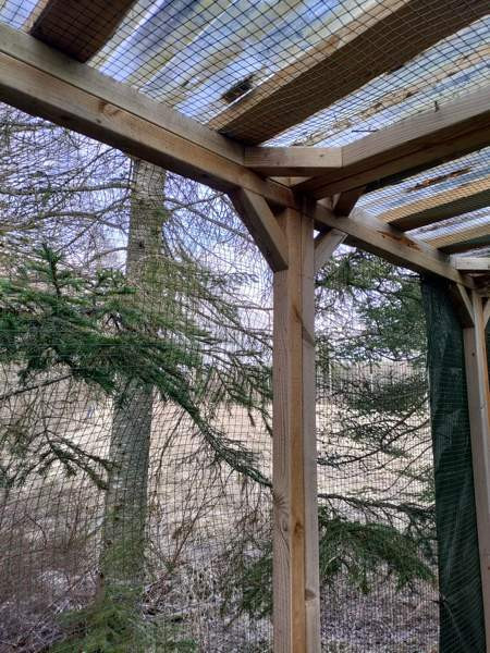 Myydään kolli-kissa tarha moneen käyttöön Kouvola – foto 3