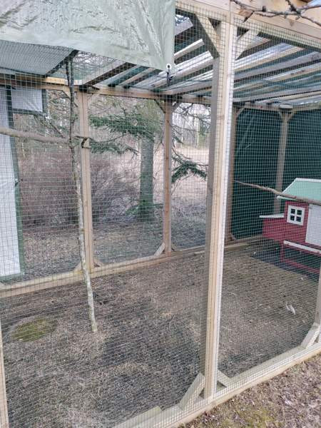 Myydään kolli-kissa tarha moneen käyttöön Kouvola – foto 1